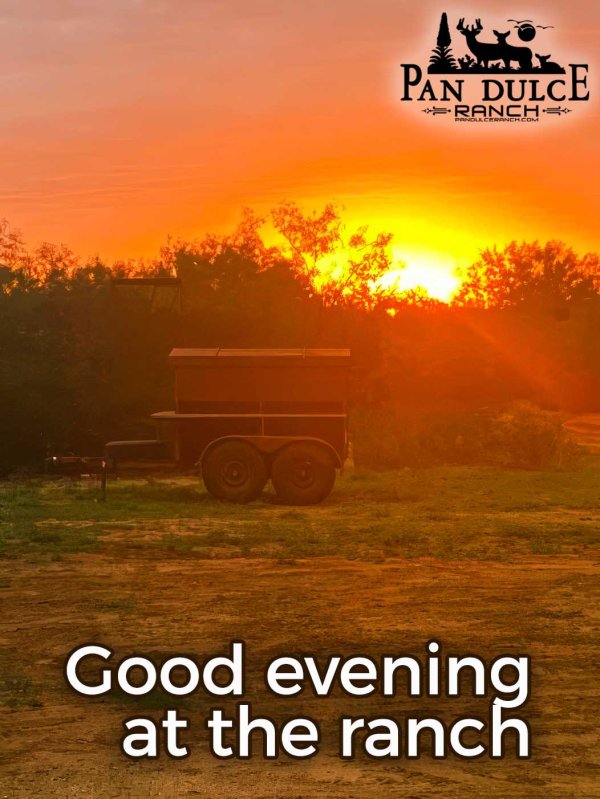 Pan Dulce Ranch